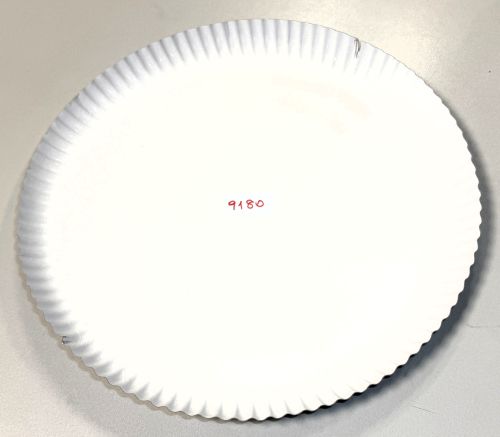 Pappteller rund ⌀ 32 cm, 3 cm tief, Einwegteller weiß, umweltfreundlich, 9180