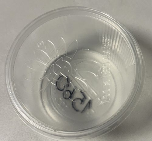 Feinkostbecher 300 ml Rund klar inkl. Deckel PP/PP, transparent, Einweg, Art 1560