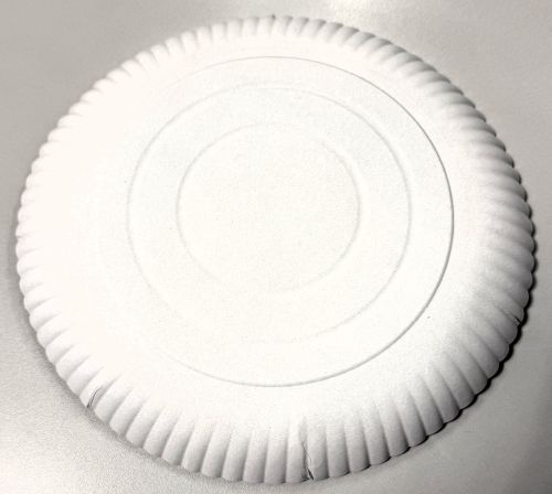 Pappteller rund  ⌀ 26 cm, 3 cm tief, Einwegteller weiß, stabil umweltfreundlich, 9150