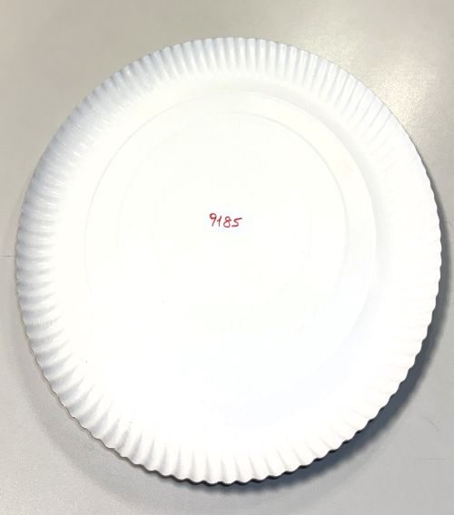 Pappteller rund ⌀ 34 cm, 3 cm tief, Einwegteller weiß, umweltfreundlich, 9185