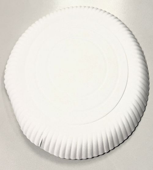 Pappteller rund ⌀ 30 cm, 3 cm tief, Einwegteller weiß, umweltfreundlich, 9170