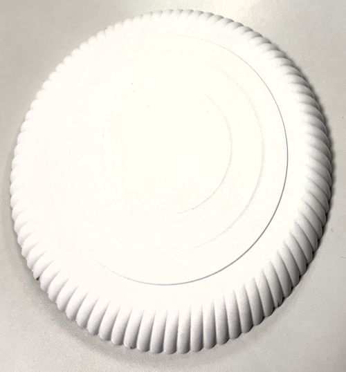 Pappteller rund ⌀ 28 cm, 2 cm tief, Einwegteller weiß, umweltfreundlich, 9160