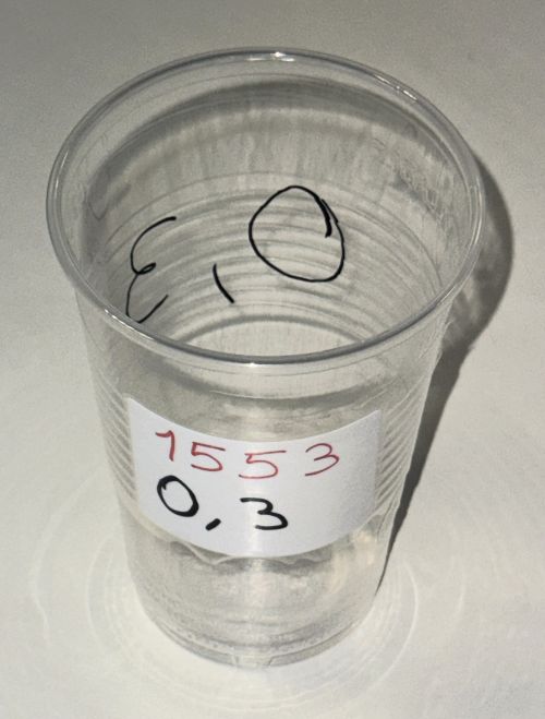 Einwegbecher 300ml 0,3 l transparent Plastikbecher Trinkbecher P.P. Art 1553