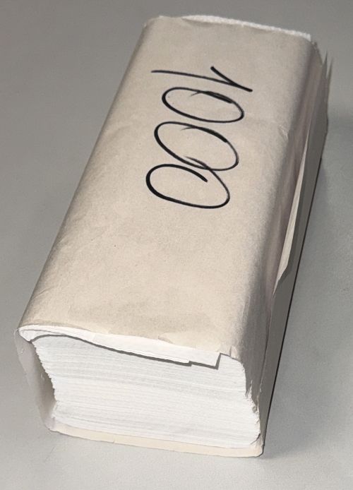 Einmalhandtücher Papier Falthandtücher 2-lagig ZZ-Falz 25x23 cm 1000