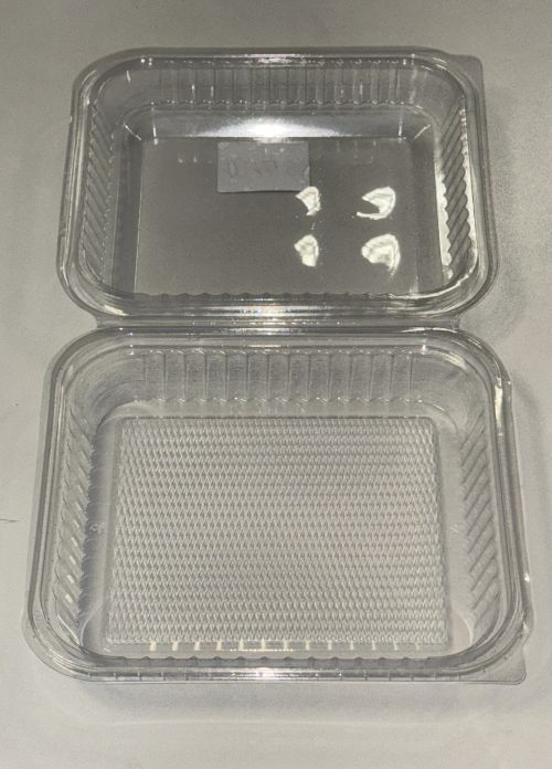  Salatbox schale rechteckig 700 ml Klapbox PP Klappschale 10148