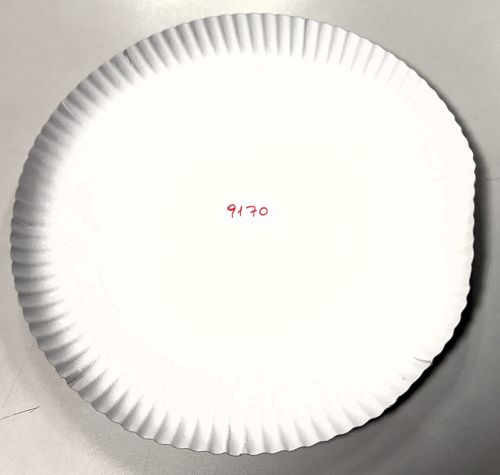 Pappteller rund ⌀ 30 cm, 3 cm tief, Einwegteller weiß, umweltfreundlich, 9170