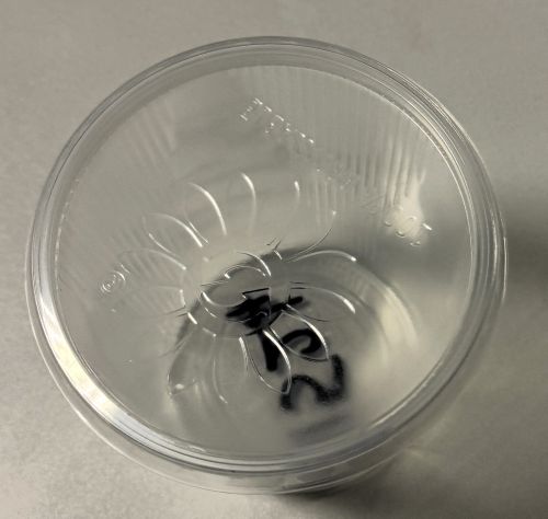 Feinkostbecher 500 ml Rund klar inkl. Deckel PP/PP transparent, Einweg Art 1524