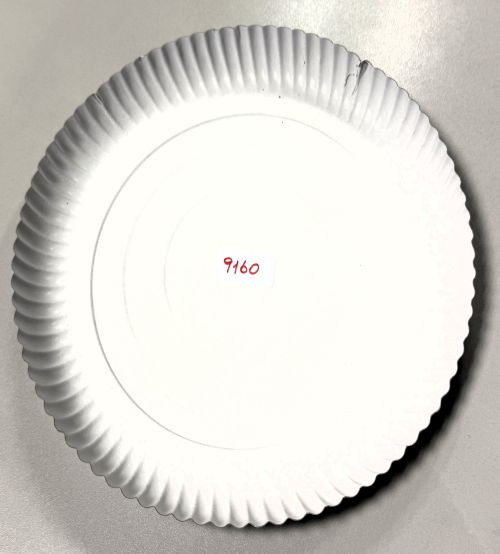 Pappteller rund ⌀ 28 cm, 2 cm tief, Einwegteller weiß, umweltfreundlich, 9160